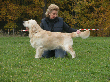 Chinouk beim Ringtraining.png