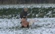 thumbnailWelpentraining.jpg
