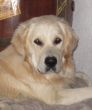 Brody, Metzinger Open Aug 2011 094.JPG