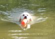 Brody, Metzinger Open Aug 2011 106.JPG