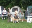 DSCF5151Ausstellung Lotte (1)..JPG