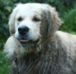 Brody!!.jpg