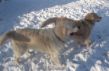 DSCF0029.JPG