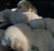 Autofahren mit Mami.JPG