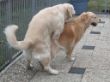 Zinja und Lasse 2.JPG