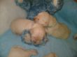 11.Tag kuscheln mit Teddy.JPG