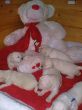 17.Tag mit Teddy.JPG