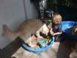 Bevy zeigt Luca wie man buddelt.JPG