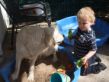 Luca und Bevy spielen im Sand.JPG