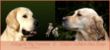 klaar+website+sabine2 alea.jpg