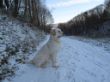 Merlin Weihnachten 09.JPG