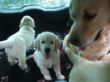 Wir fahren Auto mit Mami Zinja.JPG