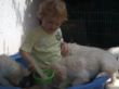 Luca und Babys im Sandkasten.JPG