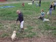 erstes Welpentraining.JPG